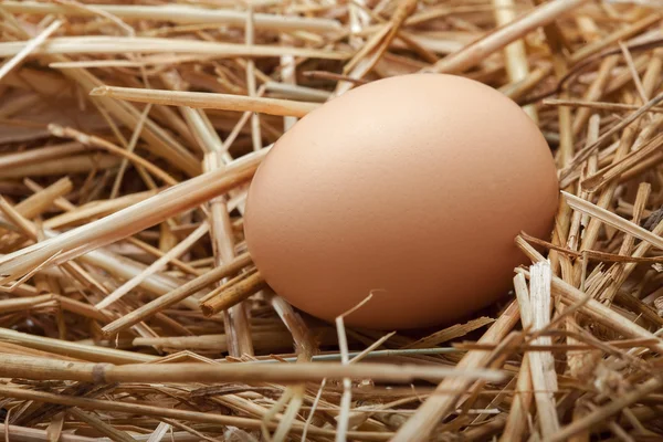 Egg lies on the hay. — Stock Photo, Image