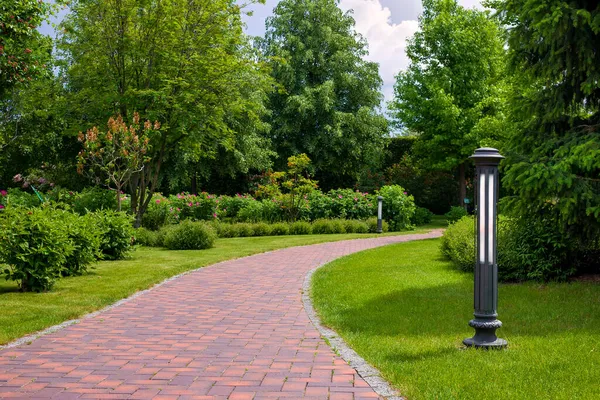 在阳光明媚的夏日 公园小径上 庭院里点着一盏灯 小径上铺着石瓦 四周是植物 灌木丛和树木 周围环绕着青绿的草坪 — 图库照片