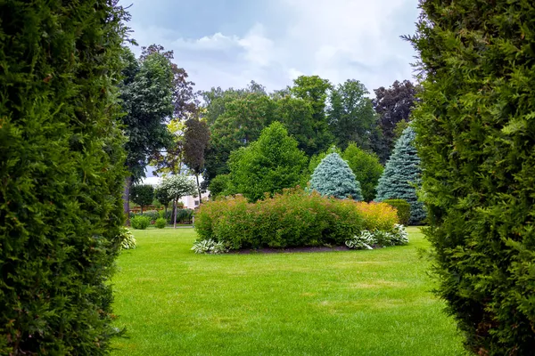 庭のベッドと木の葉と松の針を持つ公園の景観デザイン緑の芝生 常緑樹と裏庭の季節の植物はThujaの境界を通して見て — ストック写真