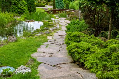 Doğal taş patika, gölet boyunca su ve sazlıklar yeşil arka bahçe bitkilerinin arasında. Eko yaz parkının yeşil çalıları ve ağaçlarla döşenmiş manzarası, hiç kimse..