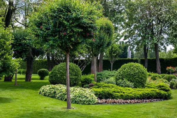 Manicured Park Green Plants Green Lawn Flower Bed Trees Garden — Stock Photo, Image