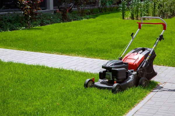 Gasoline Engine Lawn Mower Landscaping Backyard Lawn Mowing Gardening Equipment — Stock Photo, Image