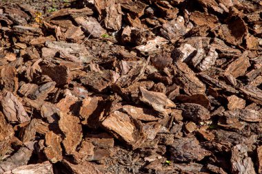 Çam ağacı kabuğu gübre yığını bahçe ve manzara bakımı için gübre, ekolojik ham yüzey dokusu, hiç kimse.