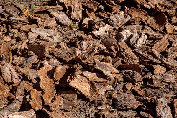 Çam ağacı kabuğu gübre yığını bahçe ve manzara bakımı için gübre, ekolojik ham yüzey dokusu, hiç kimse.