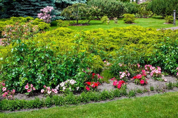 Flower Bed Petunia Blossom Flowers Park Rose Bushes Garden Landscape — Φωτογραφία Αρχείου