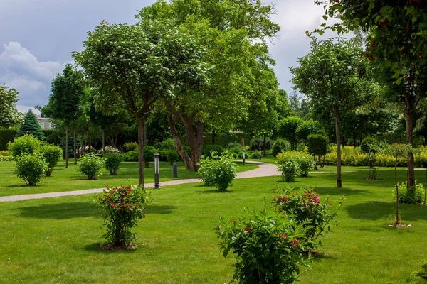 Yeşil çimenler, çalılar ve ağaçlarla kaplı yeşil çimenler, güneşli bir yaz gününde demir zemin ışıkları altında yürümek için kaldırımı olan bir parkta, hiç kimse.