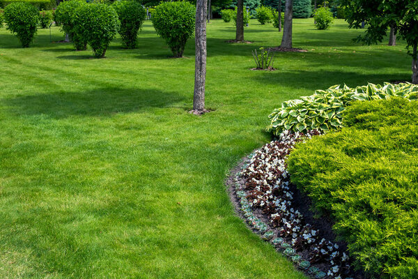 garden bed in park with various plants with flowers and deciduous and evergreen bush in flower bed near green lawn with trees landscape on sunny summer day with copy space, nobody.