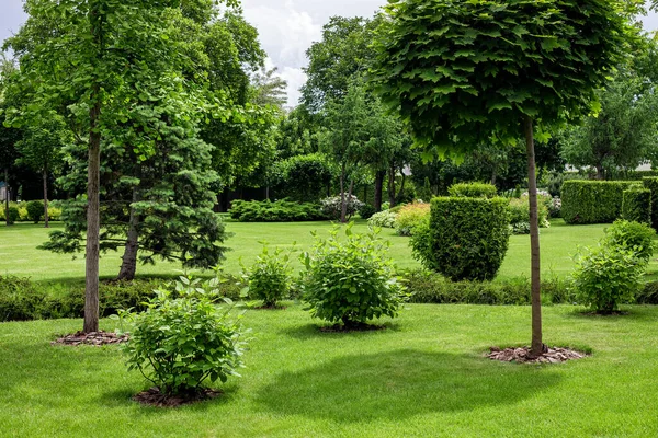 Stadtpark Mit Gartenlandschaft Mit Bäumen Und Sträuchern Mit Mulch Auf — Stockfoto