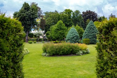 Bahçe yatağı ve yapraklı ağaçlar ve yeşil çimenli çam iğneleri olan park manzarası arka bahçedeki yemyeşil ve mevsimlik bitkiler thuja sınırından yapraklı çiçek yatağına bakıyorlar..