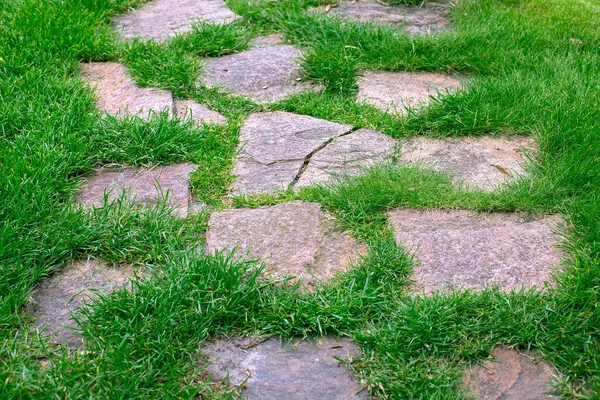 Gartenweg Aus Naturrohstein Unterschiedlicher Größe Mit Rasenrasen Auf Frühlingsgrünem Gras — Stockfoto