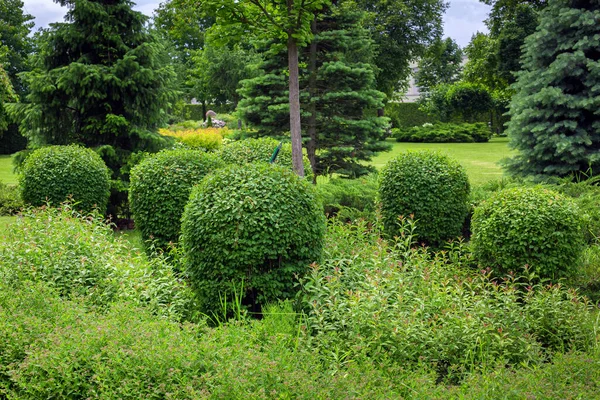 Bloembed Met Verschillende Loofbomen Pijnbomen Een Tuin Bed Van Achtertuin — Stockfoto