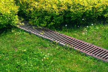 Bahçesinde yeşil çimenler ve yeşillik çalıları olan çim çim üzerindeki paslı ızgara drenaj sistemi. Parktaki yağmur suyu drenaj sistemi. Güneşten yanan bitkiler arasında kimse yok..