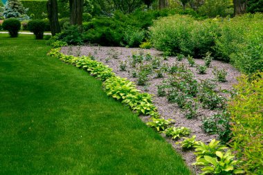 Baharda çimenlik çimenlik çimenlik çimenlik çayırları ve çiçek tarlasında büyüyen güllerle arka bahçe dekorasyonu yapan bahçeli bir yatak. Ağaçlı bir parkta, hiç kimse..