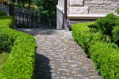 a stone tile path paved in the backyard with green clipped boxwood bushes at the corner of the facade of the house made of decorative rough stone and a storm sewer on a sunny summer day. clipart