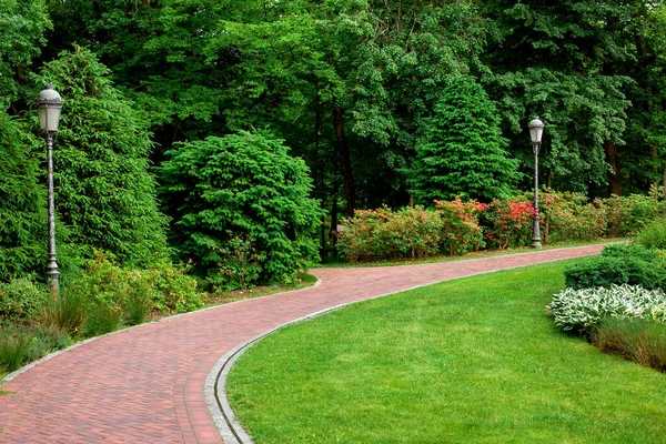 Изогнутый Пешеходный Тротуар Каменной Плитки Парке Освещением Склона Ландшафта Зелеными — стоковое фото