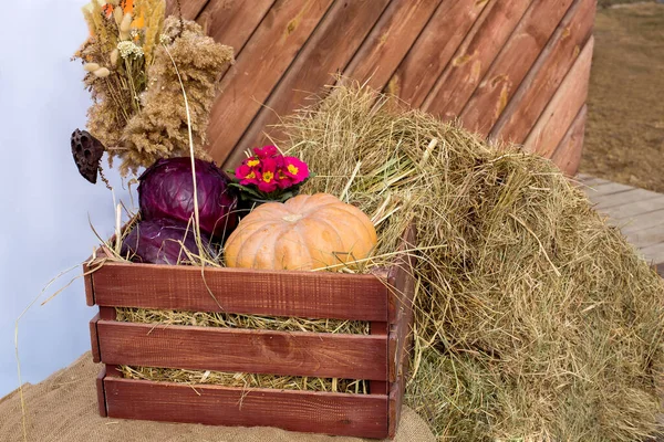 Tarımsal sebze hasadı, biyolojik tarım çiftliği balkabakları ve kırsal pazarın tezgahında çiçek ve sazlıklarla süslenmiş lahana satışı için kuru otlarla dolu kahverengi tahtalardan yapılmış tahta kutu..