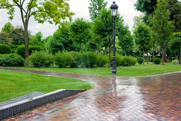Irrigation System Landscaping Watering Park Plants Water Spray Moistening Backyard — Stock Photo, Image