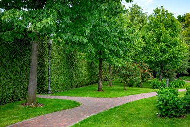 stone tile walkway curve arcing in the park among green plants of evergreen thuja hedges and mulching trees with deciduous bushes and iron ground garden lantern and retro pillar lighting, nobody.