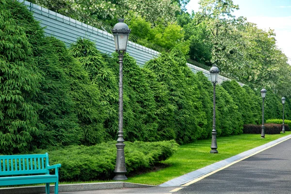Roadside Asphalt Road Drainage Concrete Canal Ditch Green Plants Pine — Stock Photo, Image