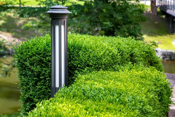 Gray Garden Iron Lantern White Diffuser Street Lighting Trimmed Boxwood — Fotografia de Stock
