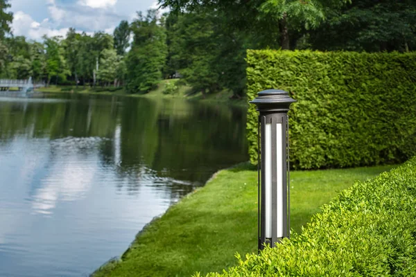 garden iron lantern of backyard lighting in trimmed boxwood bushes near lawn meadow on background pond with water and coast with trees, green landscaping of scenic, eco friendly theme, nobody.