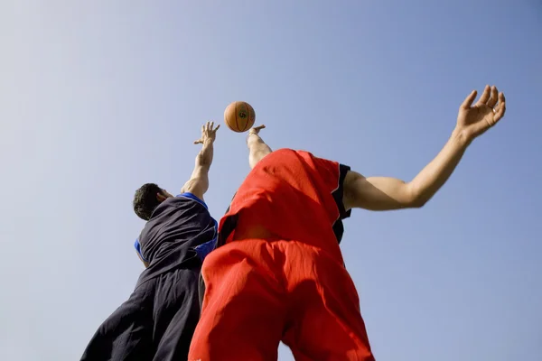 Basketbolcular — Stok fotoğraf