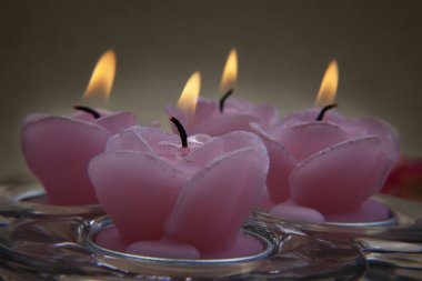 pembe dekoratif mumlar