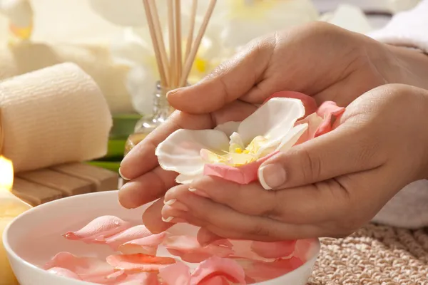 Orkide ve gül yaprakları ile götürdü eller