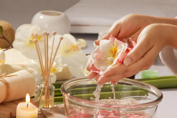 Cupped hands with rose petals and orchid — Stock Photo, Image
