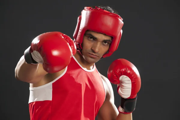 젊은 인도 권투 선수 — 스톡 사진