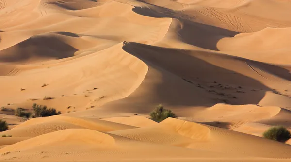 Dubai desert cu sandune frumoase — Fotografie, imagine de stoc