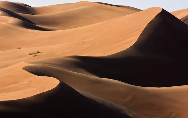 Dubai desert med vackra sandunes — Stockfoto