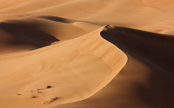 Dubai desert med vackra sandunes — Stockfoto
