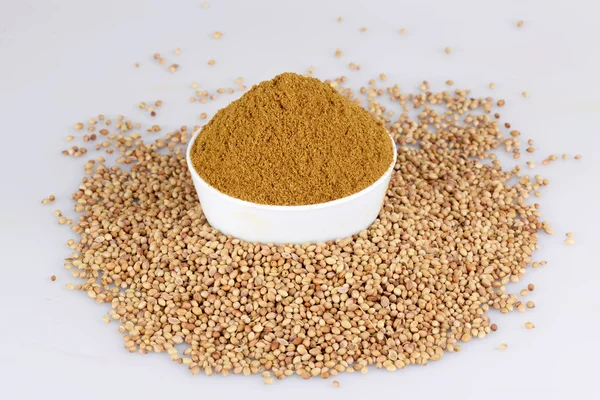 Coriander seed in white bowl on the white background — Stock Photo, Image