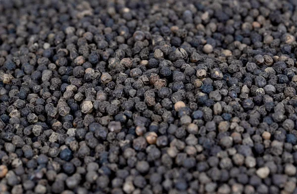 Black pepper on white bacground — Stock Photo, Image