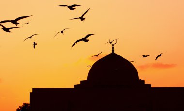 Cami gece kuş uçan