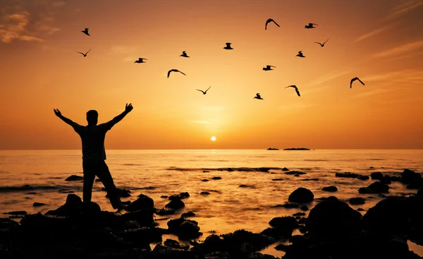 Hombre sintiendo libertad en la playa durante el amanecer, pájaros volando alrededor —  Fotos de Stock