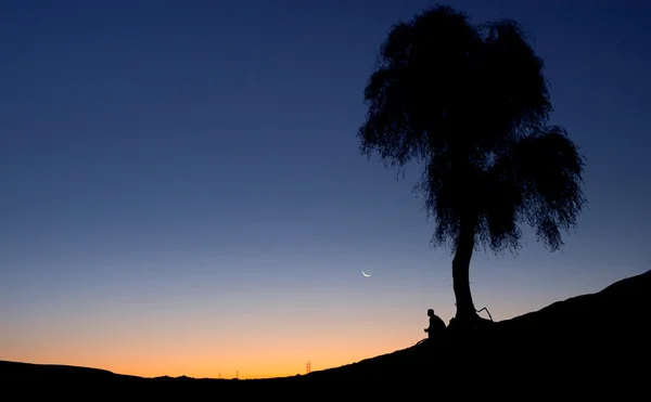 一个人独自一人坐在一棵树下，面对新月在暮光之城的轮廓. 免版税图库照片