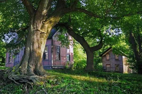 Old houses in Richmond Town — Stock Photo, Image