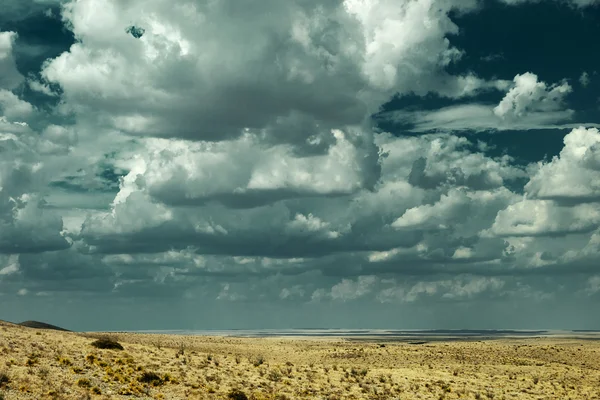 Deserto del Nuovo Messico — Foto Stock