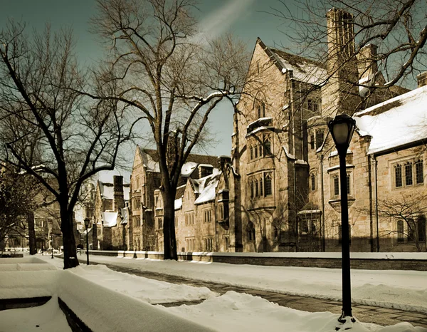 Branford College — Stock Photo, Image