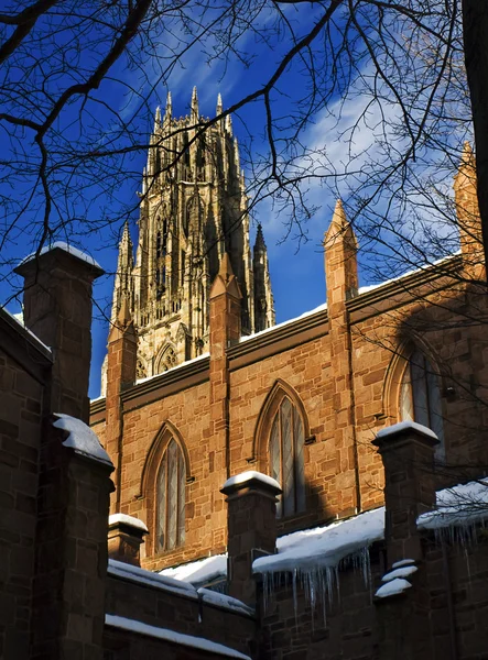 Winter in Yale — Stock Photo, Image