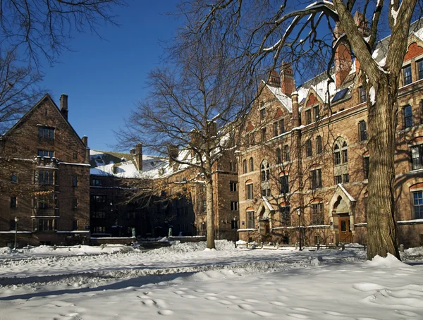 Vieux campus de Yale Photo De Stock