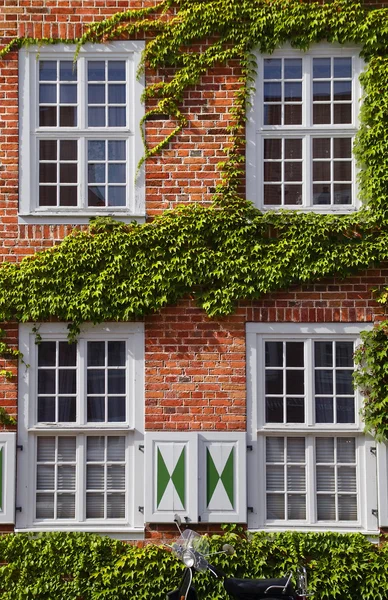 Cephe Hollanda Mahallesi, potsdam — Stok fotoğraf
