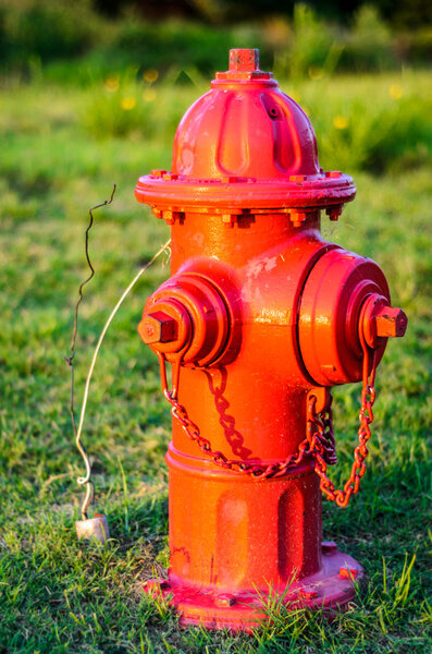 Fireplug