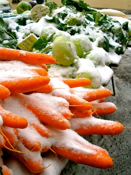 Snow Carrots — Stock Photo, Image