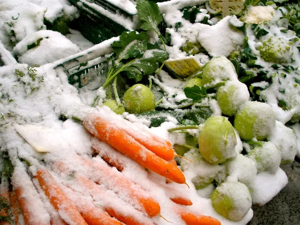 Bondens marknad snö Stockfoto