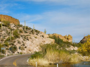 kıvrımlı yol çöl yoluyla