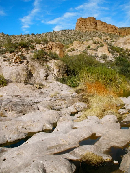 Paesaggio desertico — Foto Stock