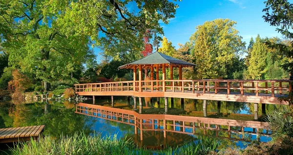 Japon bahçe wroclaw